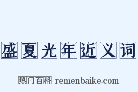 盛夏光年近义词是什么意思的图片